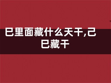 巳里面藏什么天干,己巳藏干