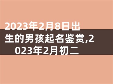 2023年2月8日出生的男孩起名鉴赏,2023年2月初二