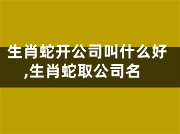 生肖蛇开公司叫什么好,生肖蛇取公司名