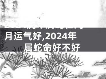 2024虎年属蛇在几月运气好,2024年属蛇命好不好