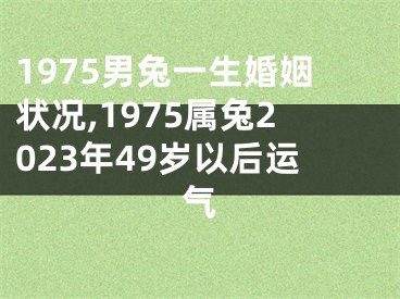 1975男兔一生婚姻状况,1975属兔2023年49岁以后运气