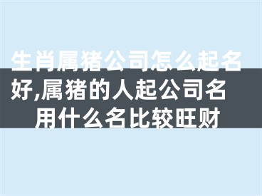 生肖属猪公司怎么起名好,属猪的人起公司名用什么名比较旺财