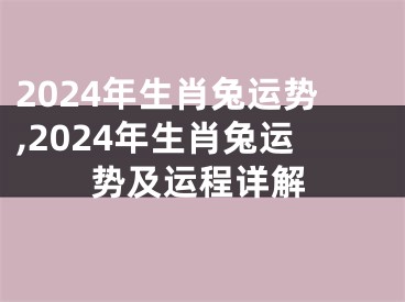 2024年生肖兔运势,2024年生肖兔运势及运程详解