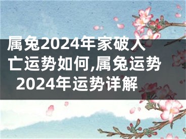 属兔2024年家破人亡运势如何,属兔运势2024年运势详解
