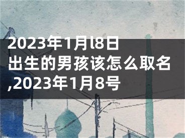 2023年1月l8日出生的男孩该怎么取名,2023年1月8号