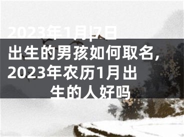 2023年1月|7日出生的男孩如何取名,2023年农历1月出生的人好吗