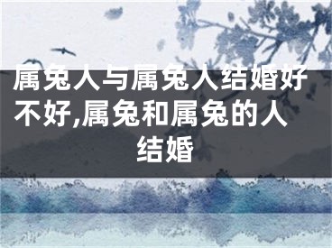 属兔人与属兔人结婚好不好,属兔和属兔的人结婚
