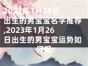 2023年1月26日出生的男宝宝名字推荐,2023年1月26日出生的男宝宝运势如何呢