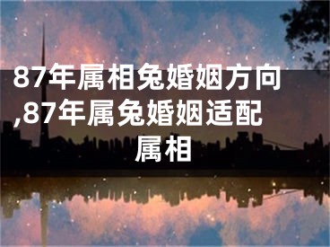 87年属相兔婚姻方向,87年属兔婚姻适配属相