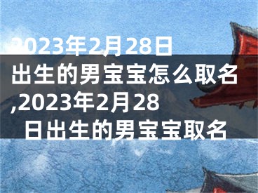 2023年2月28日出生的男宝宝怎么取名,2023年2月28日出生的男宝宝取名