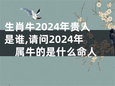 生肖牛2024年贵人是谁,请问2024年属牛的是什么命人