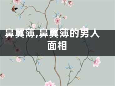 鼻翼薄,鼻翼薄的男人面相