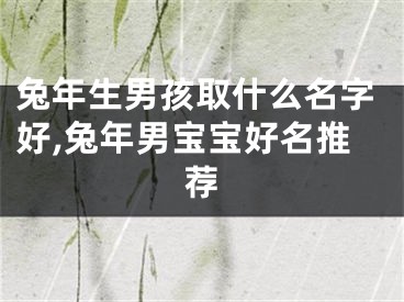 兔年生男孩取什么名字好,兔年男宝宝好名推荐