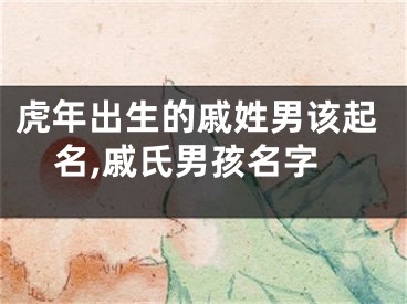 虎年出生的戚姓男该起名,戚氏男孩名字