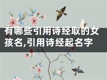 有哪些引用诗经取的女孩名,引用诗经起名字