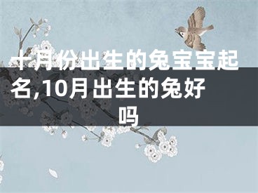 十月份出生的兔宝宝起名,10月出生的兔好吗