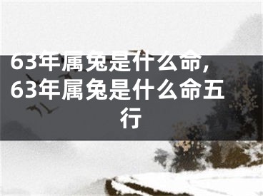63年属兔是什么命,63年属兔是什么命五行
