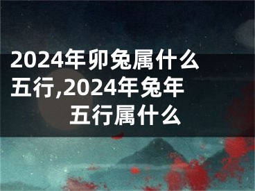 2024年卯兔属什么五行,2024年兔年五行属什么