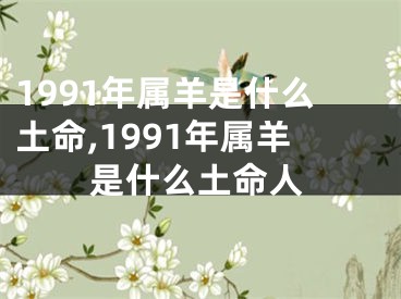 1991年属羊是什么土命,1991年属羊是什么土命人