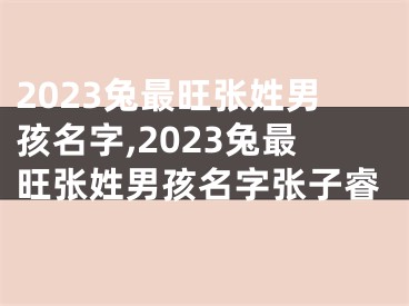 2023兔最旺张姓男孩名字,2023兔最旺张姓男孩名字张子睿