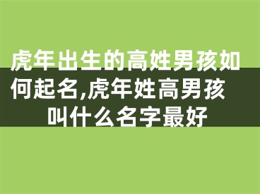 虎年出生的高姓男孩如何起名,虎年姓高男孩叫什么名字最好