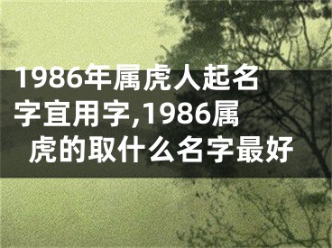 1986年属虎人起名字宜用字,1986属虎的取什么名字最好