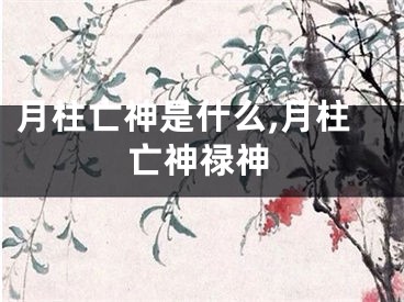 月柱亡神是什么,月柱亡神禄神