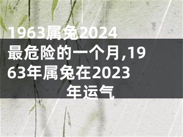 1963属兔2024最危险的一个月,1963年属兔在2023年运气