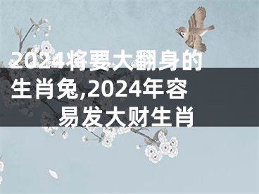2024将要大翻身的生肖兔,2024年容易发大财生肖