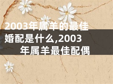 2003年属羊的最佳婚配是什么,2003年属羊最佳配偶