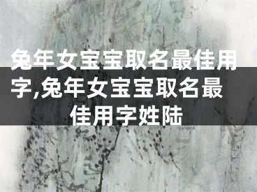 兔年女宝宝取名最佳用字,兔年女宝宝取名最佳用字姓陆