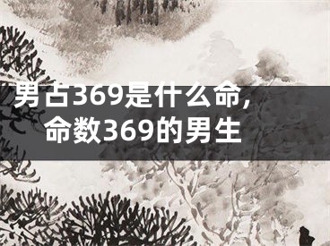 男占369是什么命,命数369的男生