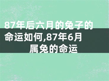 87年后六月的兔子的命运如何,87年6月属兔的命运