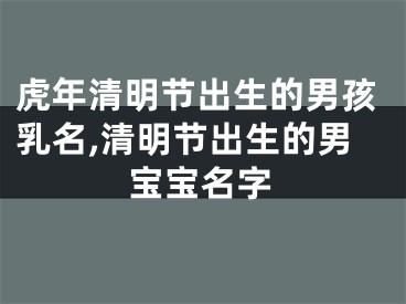 虎年清明节出生的男孩乳名,清明节出生的男宝宝名字