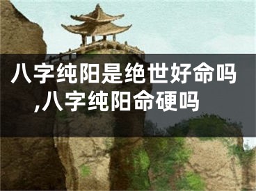 八字纯阳是绝世好命吗,八字纯阳命硬吗