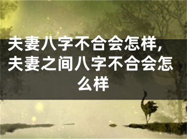夫妻八字不合会怎样,夫妻之间八字不合会怎么样