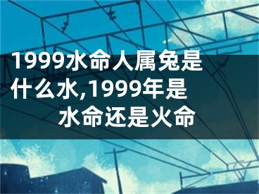 1999水命人属兔是什么水,1999年是水命还是火命