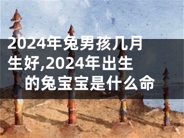 2024年兔男孩几月生好,2024年出生的兔宝宝是什么命