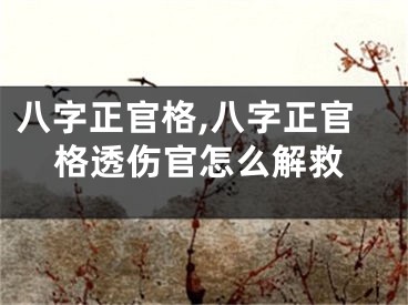 八字正官格,八字正官格透伤官怎么解救