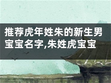 推荐虎年姓朱的新生男宝宝名字,朱姓虎宝宝