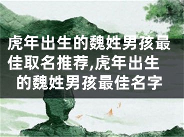 虎年出生的魏姓男孩最佳取名推荐,虎年出生的魏姓男孩最佳名字