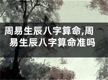 周易生辰八字算命,周易生辰八字算命准吗