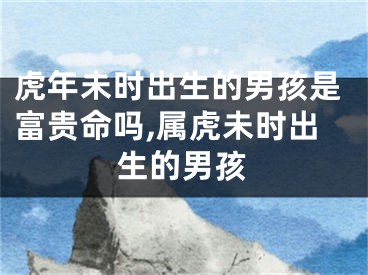 虎年未时出生的男孩是富贵命吗,属虎未时出生的男孩
