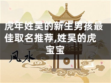 虎年姓吴的新生男孩最佳取名推荐,姓吴的虎宝宝
