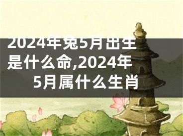 2024年兔5月出生是什么命,2024年5月属什么生肖