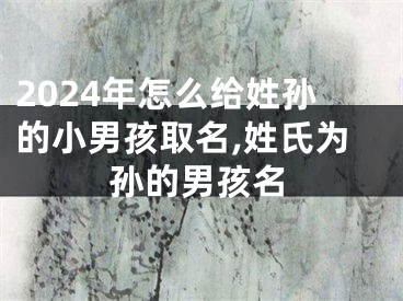 2024年怎么给姓孙的小男孩取名,姓氏为孙的男孩名