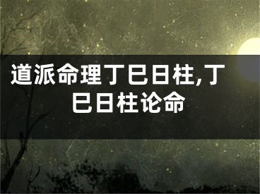 道派命理丁巳日柱,丁巳日柱论命