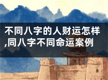 不同八字的人财运怎样,同八字不同命运案例