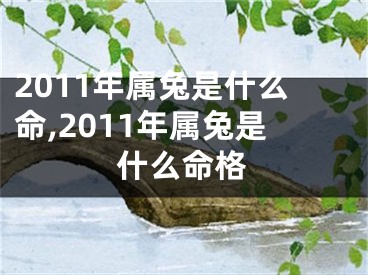 2011年属兔是什么命,2011年属兔是什么命格