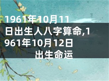 1961年10月11日出生人八字算命,1961年10月12日出生命运